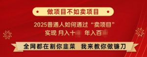 必看,做项目不如卖项目,2025普通人如何通过“卖项目”实现月入十个,年入百个-聚富社
