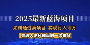 2025蓝海项目,普通人如何通过卖项目,实现月入过W,全过程【揭秘】-聚富社