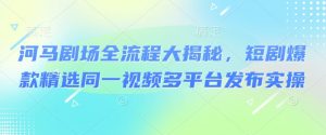 河马剧场全流程大揭秘,短剧爆款精选同一视频多平台发布实操-聚富社
