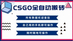CSGO全自动搬砖,年底钱回家好项目,当天可拿到结果,新手小白轻松月入1W+【揭秘】-聚富社