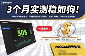 3个月实测稳如狗！wishlba最新项目，一键运行日入50美刀，单窗口躺挣，保姆级教程全给你【揭秘】-聚富社