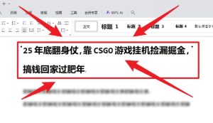 25年底翻身仗,靠CSGO游戏挂G捡漏掘金,搞钱回家过肥年【揭秘】-聚富社