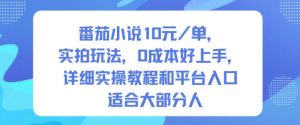 番茄小说10米每单，实拍玩法，0成本好上手，详细实操教程和平台入口适合大部分人-聚富社