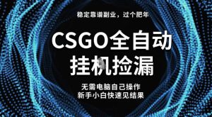 【稳定副业】全球最热门游戏CSGO全自动捡漏,最新玩法,新手小白日入5张+【揭秘】-聚富社