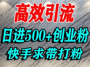 怎么打创业粉？快手求带视角精准引流创业粉，宝妈、学生群体日进500+精准流量-聚富社