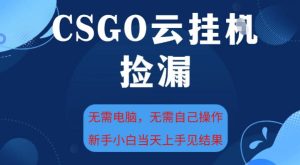 CSGO云挂G全自动捡漏,最新独家玩法,无需电脑操作,新手小白日入5张+【揭秘】-聚富社