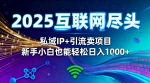 2025网创尽头王炸项目!私域IP+精准引流,新手小白在家躺賺日入1k,零经验也能上手【揭秘】-聚富社