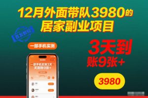 12月外面带队3980的居家副业项目，一部手机实测3天到账9张+，首发教程【揭秘】-聚富社