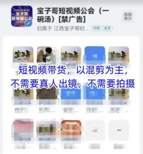 宝子哥头部团队短视频带货，以混剪为主，不需要真人出镜，不需要拍摄【更新11月】-聚富社