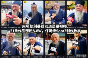 用AI复刻暴躁老道语录视频,21条作品涨粉8.8W,保姆级Sora2制作教学-聚富社
