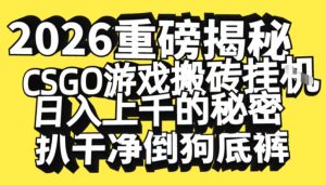 2026开年重磅解密,CSGO游戏搬砖挂G日入1k+的秘密,把倒狗的底裤扒干【揭秘】-聚富社