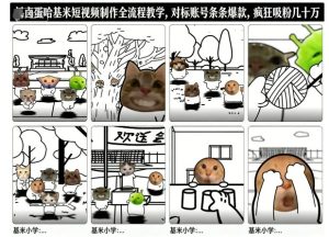 卤蛋哈基米短视频制作全流程教学,条条爆款,疯狂吸粉几十万-聚富社