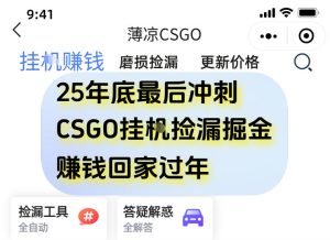 12月年底抓紧最后一个月,用CSGO游戏挂G捡漏掘金賺钱掘金,一部手机轻松日入5张+【揭秘】-聚富社