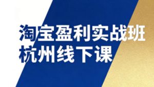 淘宝盈利实战班杭州线下课12月26-28日(音频+字幕),帮你掌握SOP流程+12门核心技术-聚富社