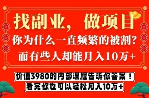 价值3980的网创内部课程，告诉你互联网创业月入10个W的秘密【揭秘】-聚富社