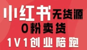 小红书无货源0粉电商课，开店准备、选品策略、笔记撰写、视频剪辑、数据分析、账号打造、资料文档（更新）-聚富社