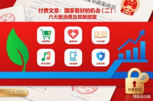 付费文章:国家看好的机会(二):六大新消费及其新增量-聚富社