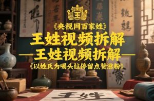央视网百家姓–王姓视频拆解,以姓氏为噱头拉停留点赞涨粉-聚富社