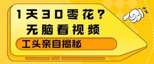 1天30零花?无脑看视频,大佬亲自揭秘-聚富社