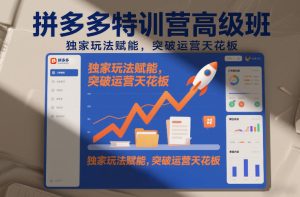 拼多多特训营高阶班，独家玩法赋能，突破运营天花板（更新26年2月）-聚富社