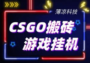 CSGO游戏挂G游戏搬砖最新升级，普通小白一部手机可日入3张+当天见结果，支持验证【揭秘】-聚富社