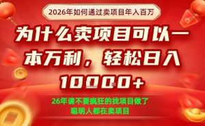 一单净利润1K+,26年想年入100个W,死磕卖项目就够了【揭秘】-聚富社