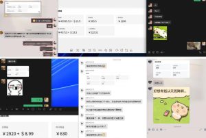 雷神加速器项目模拟器_无脑1分钟1条视频矩阵_疯狂报单打法【焚诀】-聚富社