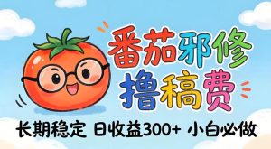 番茄撸金术：日入300+稳如泰山！独家玩法曝光，操作门槛极低，无需经验，小白闭眼上车【揭秘】-聚富社