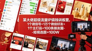 某大佬超级流量IP搞钱训练营，1个微信号+1万个微信好友+1个主打品+100条朋友圈-短视选题=100W-聚富社