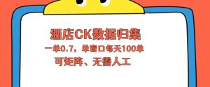 上班也能玩的酒店CK数据归集，一单0.7单窗口每天可做100单，一个人就能矩阵操作【揭秘】-聚富社
