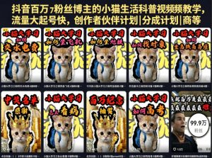 抖音百万粉丝博主的小猫生活科普视频教学,流量大起号快,创作者伙伴计划|分成计划|商单|收徒等-聚富社