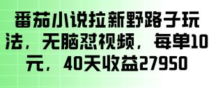 番茄小说拉新野路子玩法，无脑怼视频，玩法简单、见效快，每单10米，40天收益27950-聚富社