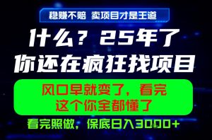 26年,请不要疯狂的找项目做了!卖项目才是真的稳賺不赔,看完照做,保底日入1k+【揭秘】-聚富社