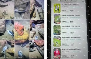 Tiktok中视频解说教程，体育+温情文案双赛道实操教程一站式带你落地，教你出海賺美刀-聚富社