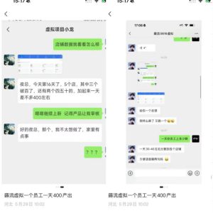 薅流虚拟2.0陪跑课,0成本AI流程化操作,淘宝+闲鱼同步玩法,上一次货两个平台有收益,单店每天200纯利润-聚富社