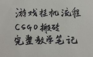 游戏挂G全流程笔记分享,CSGO游戏搬砖,小白看了当天学会见收益【揭秘】-聚富社