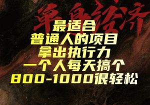 最适合普通人的项目，拿出执行力一个人每天搞个800-1k很轻松【揭秘】-聚富社