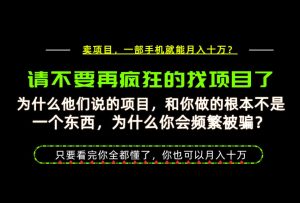 为什么做项目的人大多都是炮灰?为什么只有卖项目才能稳?看完你也可以月入10W+【揭秘】-聚富社