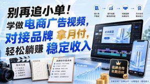 别再追小单!学做电商广告视频,对接品牌拿月付,轻松躺賺稳定收入【原创双语字幕】-聚富社