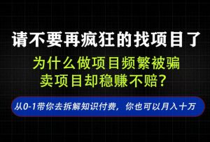 找项目?别傻了!卖项目才是真的一本万利!看完你全都懂了【揭秘】-聚富社