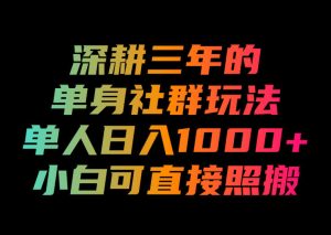 深耕三年的单身社群玩法,单人日入1000+,小白可直接照搬!【揭秘】-聚富社