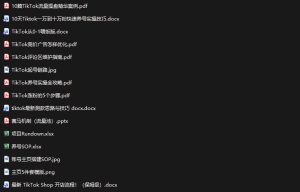 TikTok从0-1实操资料包：养号SOP+爆款公式+投流手册，新手30天可起号变现，抓住TikTok流量红利-聚富社