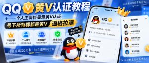 QQ黄V认证教程，个人主资料显示黄V认证，号下所有群都是黄V，逼格拉满-聚富社