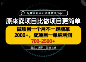 一单利润700-2.5K+，为什么我们要卖项目而不是做项目，我们普通人应该怎样开始？【揭秘】-聚富社
