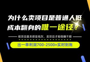 普通人如何靠互联网賺取自己的第一桶金!全类目实操型教学,看完你全都懂了!【揭秘】-聚富社