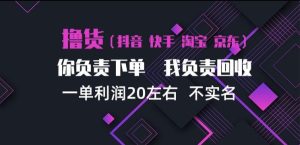 抖音淘宝快手买手项目,一单利润20左右,单号每天下三单,可矩阵【揭秘】-聚富社
