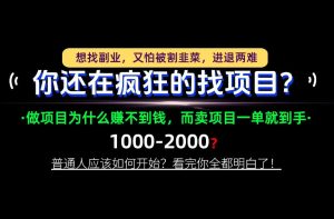 你还在疯狂的找项目?别傻了!卖项目才是真正的一本万利!怎么做,看完你全都明白!【揭秘】-聚富社