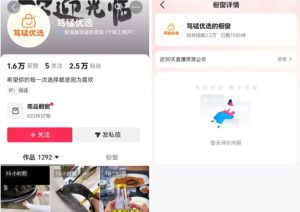 无需实拍也能做好抖音车载带货项目,收益非常稳定,每天坚持发就可以!-聚富社